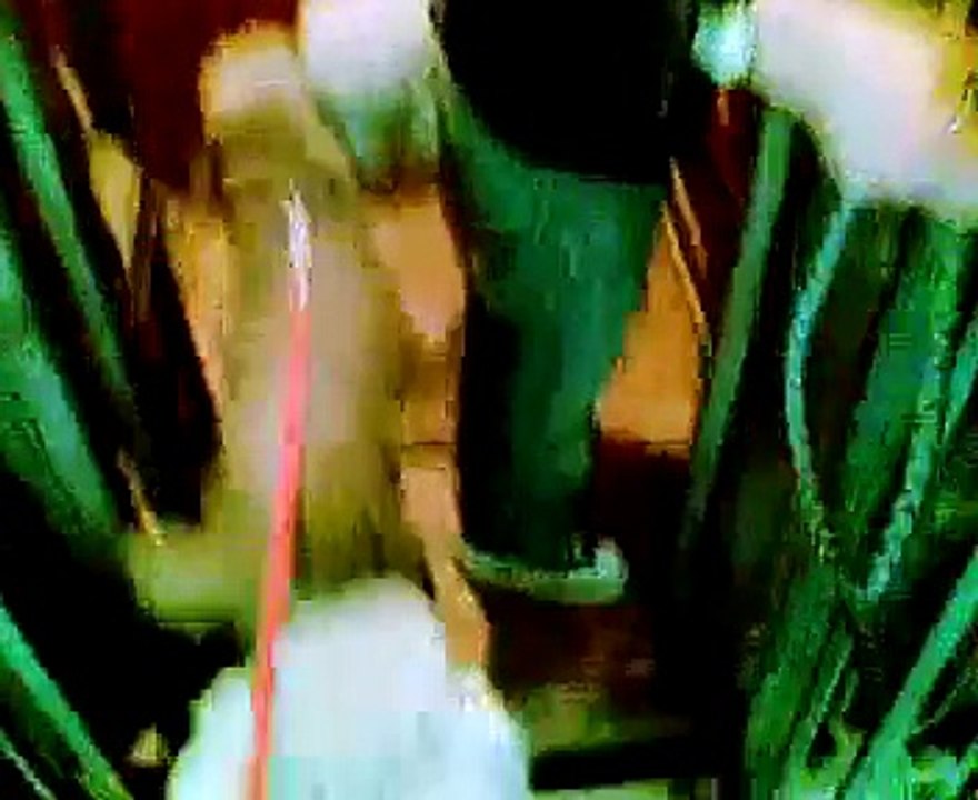 Elevator ride and a bad dog