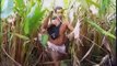 yellow anacondas in Corrientes Eric Millot film excerpt