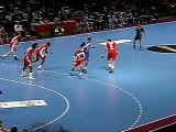 handball bercy 2007 (islande / tunisie)