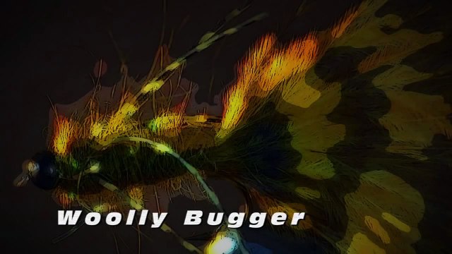 Fly tying Woolly Bugger Bob Wyatt ties a rubber legs Woolly Bugger