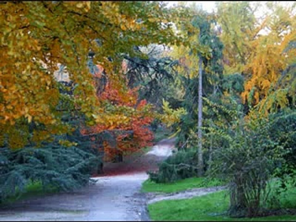 Sendas Dios HarÃ¡ Juan Carlos Alvarado