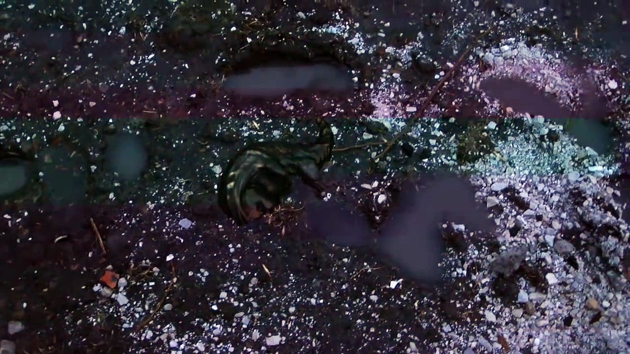 Strange Creatures found in Poland - Evidence of the strange creatures Longcoats call a Grem?