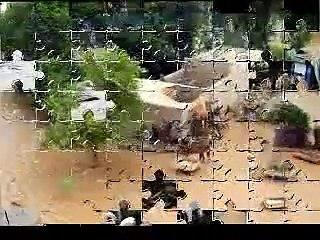 Pakistan Flood Disaster 2010