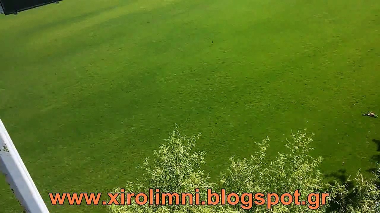 ΓΗΠΕΔΟ ΞΗΡΟΛΙΜΝΗΣ