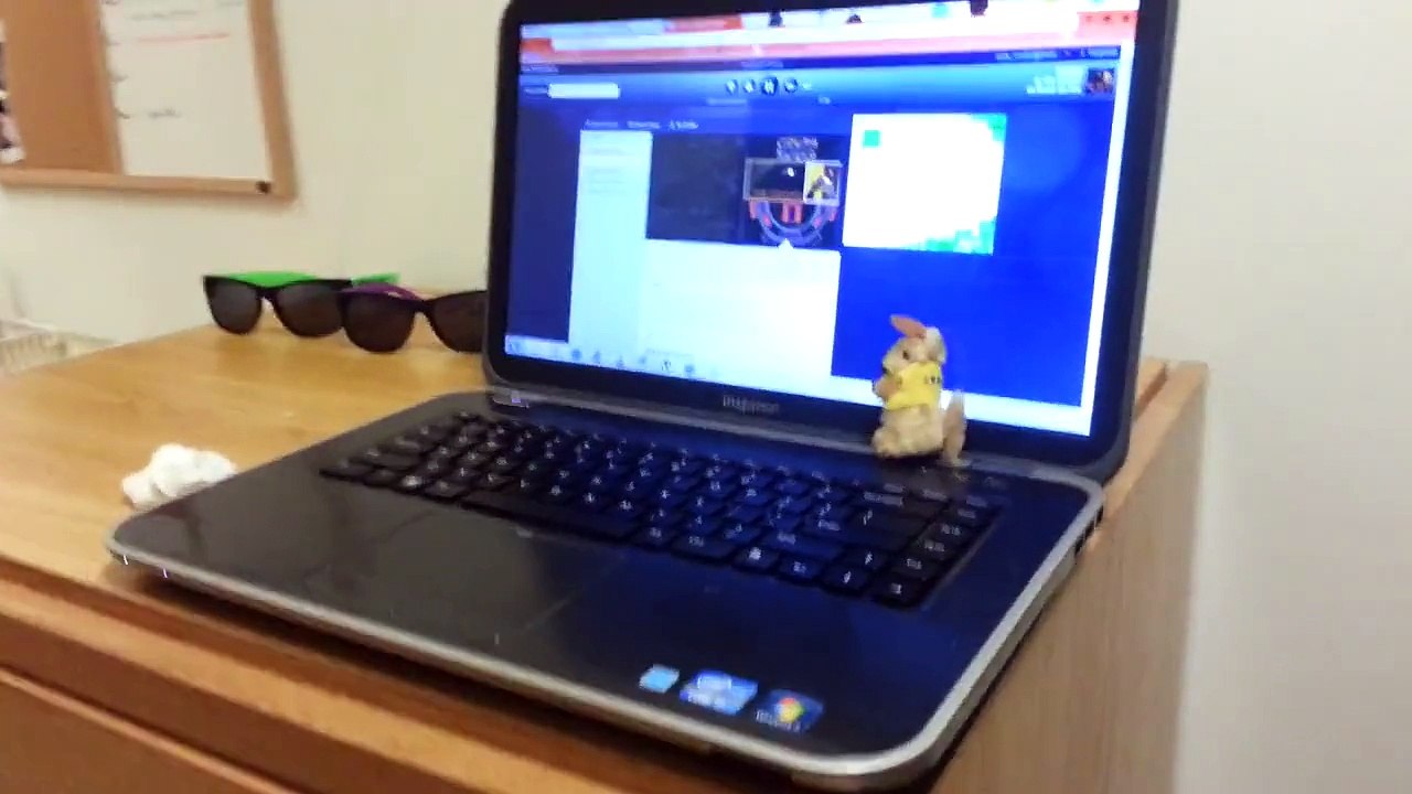 International village single room