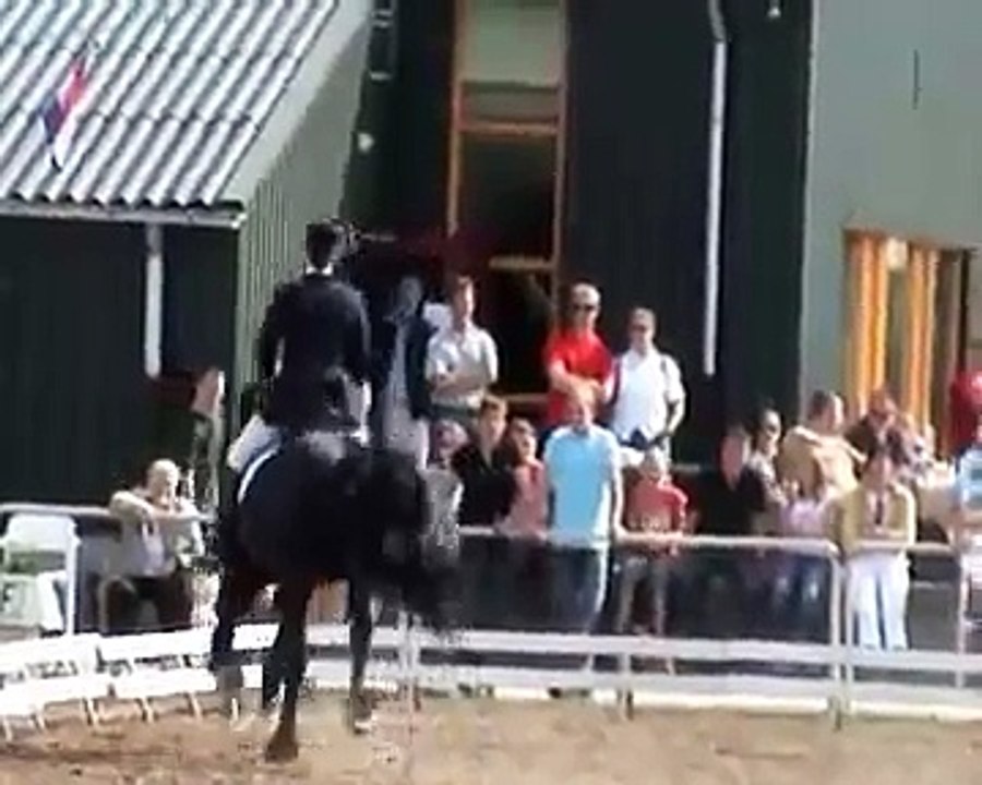 Jenny Veenstra met de Friese Hengst Hoppe  Z2 "Kür op Muziek"  in Reusel