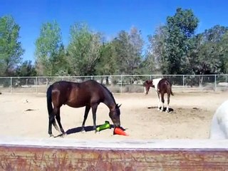 New Road Cones for Football Team