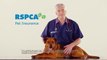 Get protection from the costs of unexpected vet bills - RSPCA Pet Insurance TVC
