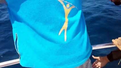 Growling screaming shark - Shark fishing in Portugal Albufeira - Abuse