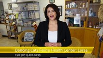 Dancing Cats Feline Health Center: Larsen Nancy DVM Salt Lake City Excellent Five Star Review b...