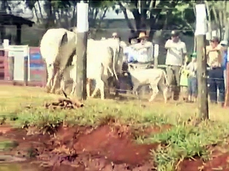 4º Encontro Uberbrahman