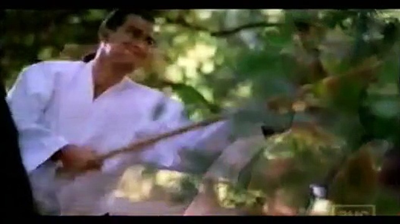Steven Seagal
