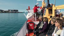 Grønland - Ilulissat / Til møde med Hval 2/2