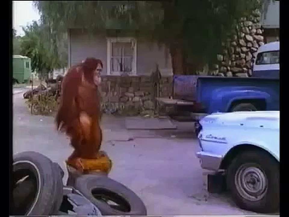 Every Which Way But Loose - Der Mann aus San Fernando