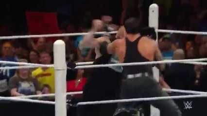 brawl between Undertaker and Brock Lesnar- WWE Exclusive