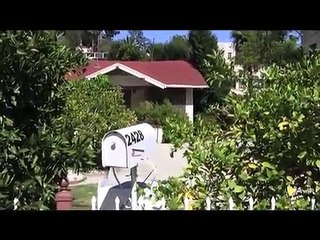 Hauntings-The Hollywood Sign Girl