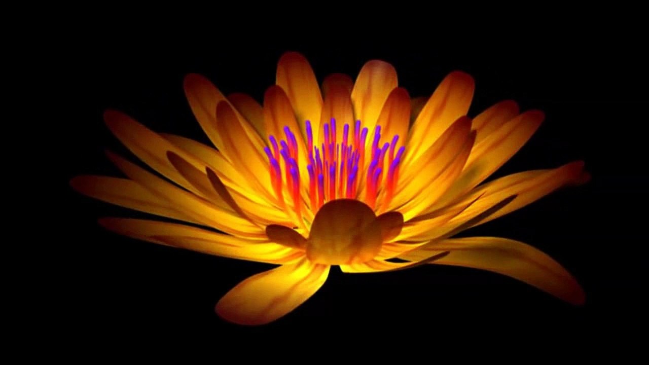 Louie Austen - Glamour Girl