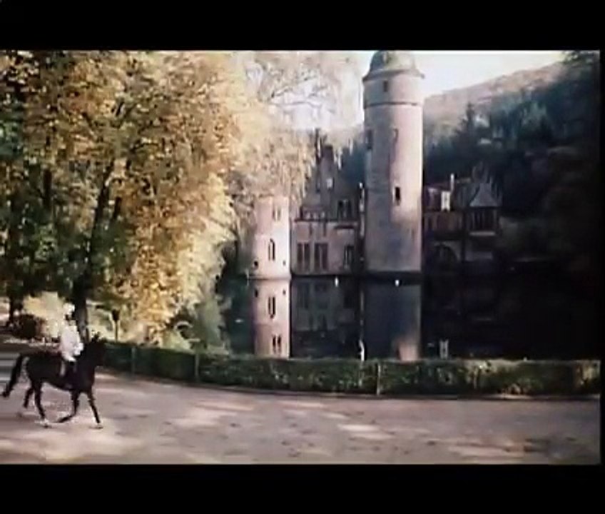 Das Wirtshaus im Spessart 10 von 11