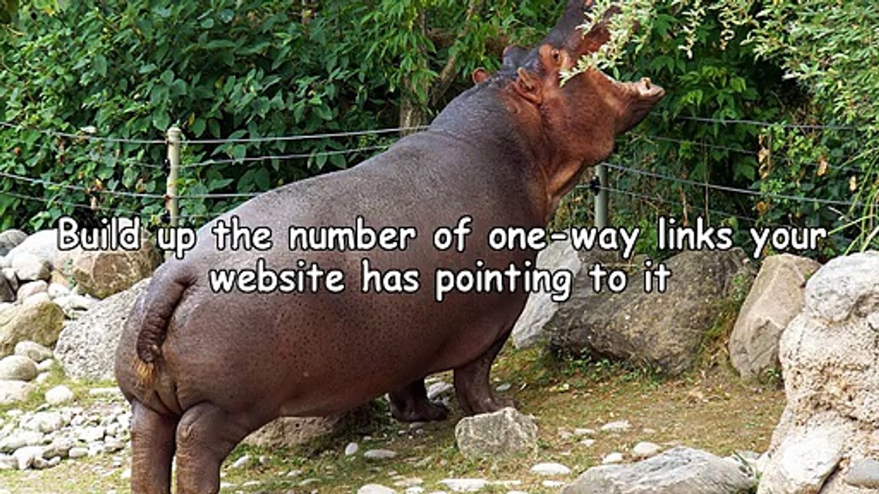 Latest Website Promotion Advice