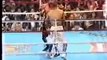brutal beatings Boxing Roy Jones Jr vs Hopkins Rd10