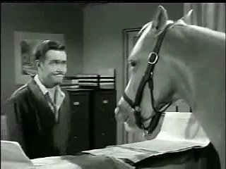 Mr Ed Wants Life Insurance