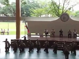 CAT SILENT DRILL BATCH 02