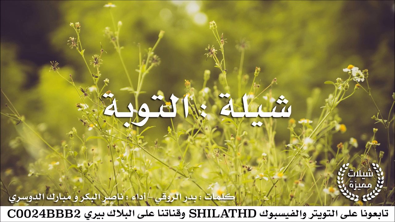 شيلة : التوبة - أداء ناصر البكر و مبارك الدوسري...