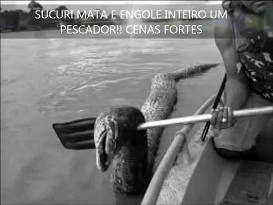 SUCURI MATA E ENGOLE INTEIRO UM PESCADOR!! CENAS FORTES