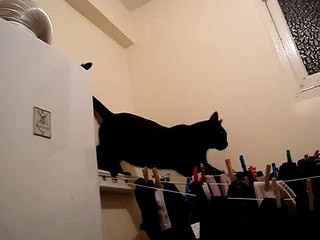 Chaussette se casse la gueule dans le linge