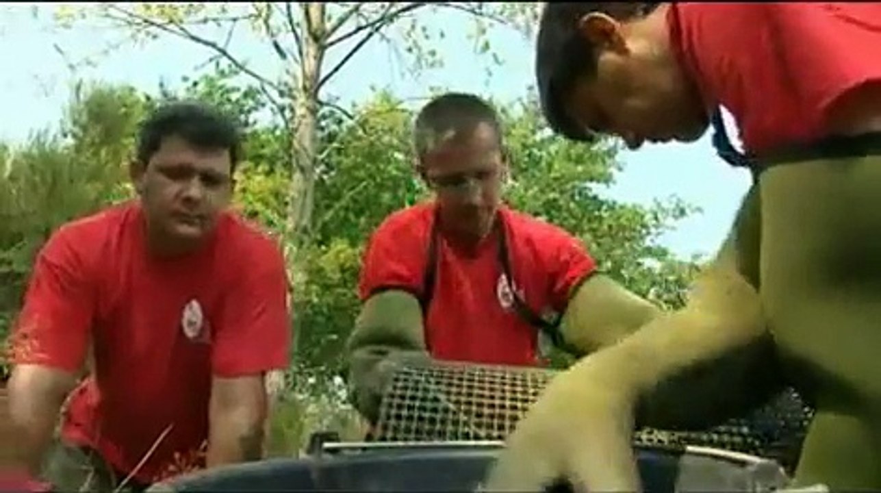 L'écrevisse de Louisiane menace la biodiversité