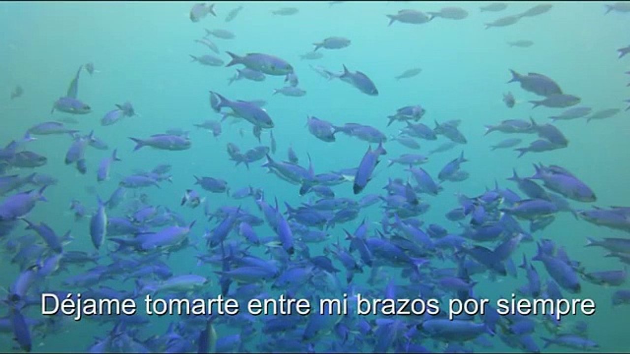 Lady - Kenny Rogers - subtitulada al español