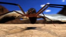 SpiderFRIEND - real scary spiders on your iOS and Android device TRAILER HD