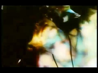 Mind Control Science - Jose Delgado's Bull Experiment