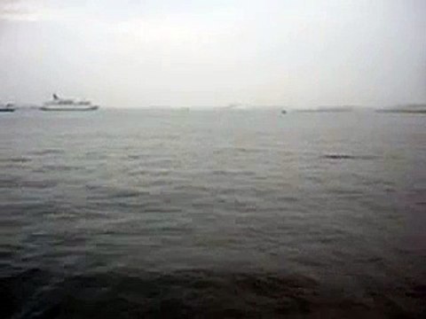 Flying Fish (Port of Yokohama)