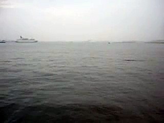 Flying Fish (Port of Yokohama)