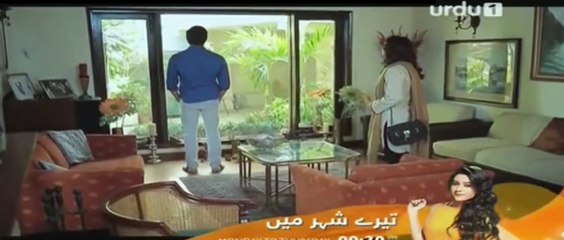Shert Episode 17 - Last Episode -  Urdu1