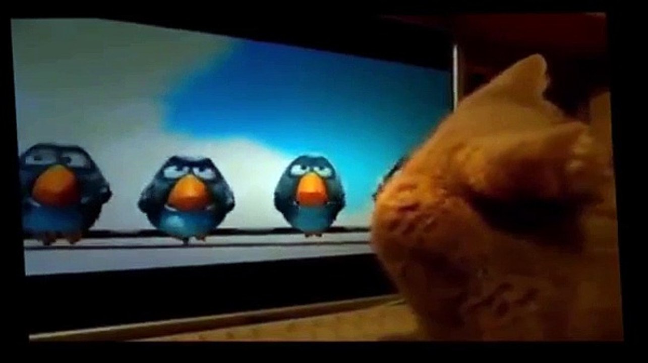 Funny Videos - Funny Animals - Funny Dogs - Funny Cats - Baby Funny - Best Funny Animals 2015