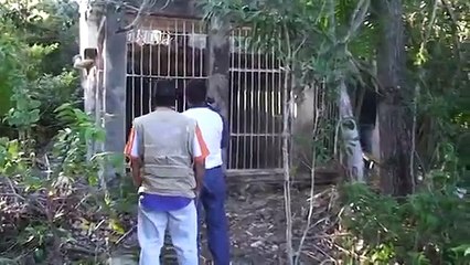 SIPSE noticias checa junto con Profepa y Sophie de Cancun Animal Rescue