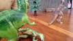 Animal Adventures Studios Presents - Animal Face-Off: Tyrannosaurus vs. Ankylosaurus