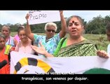 Semillas de Libertad y Lucha contra los Transgénicos: Vandana Shiva en Costa Rica
