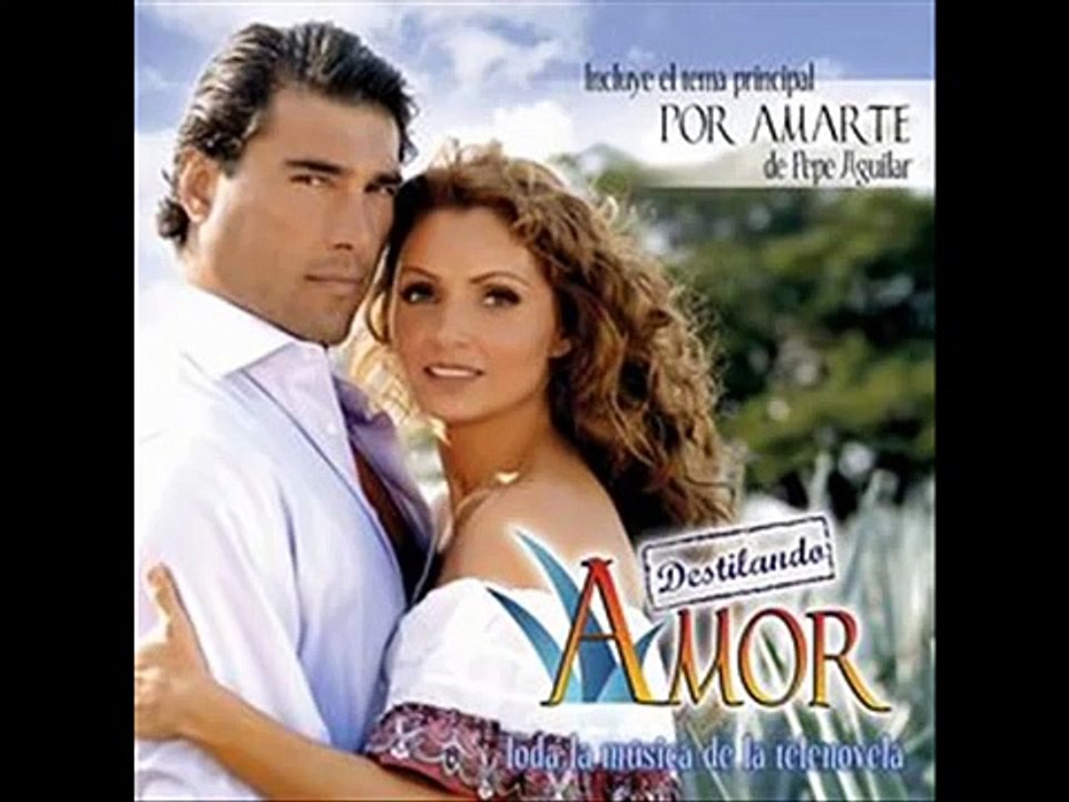 cancion de gaviota tv novela!!!