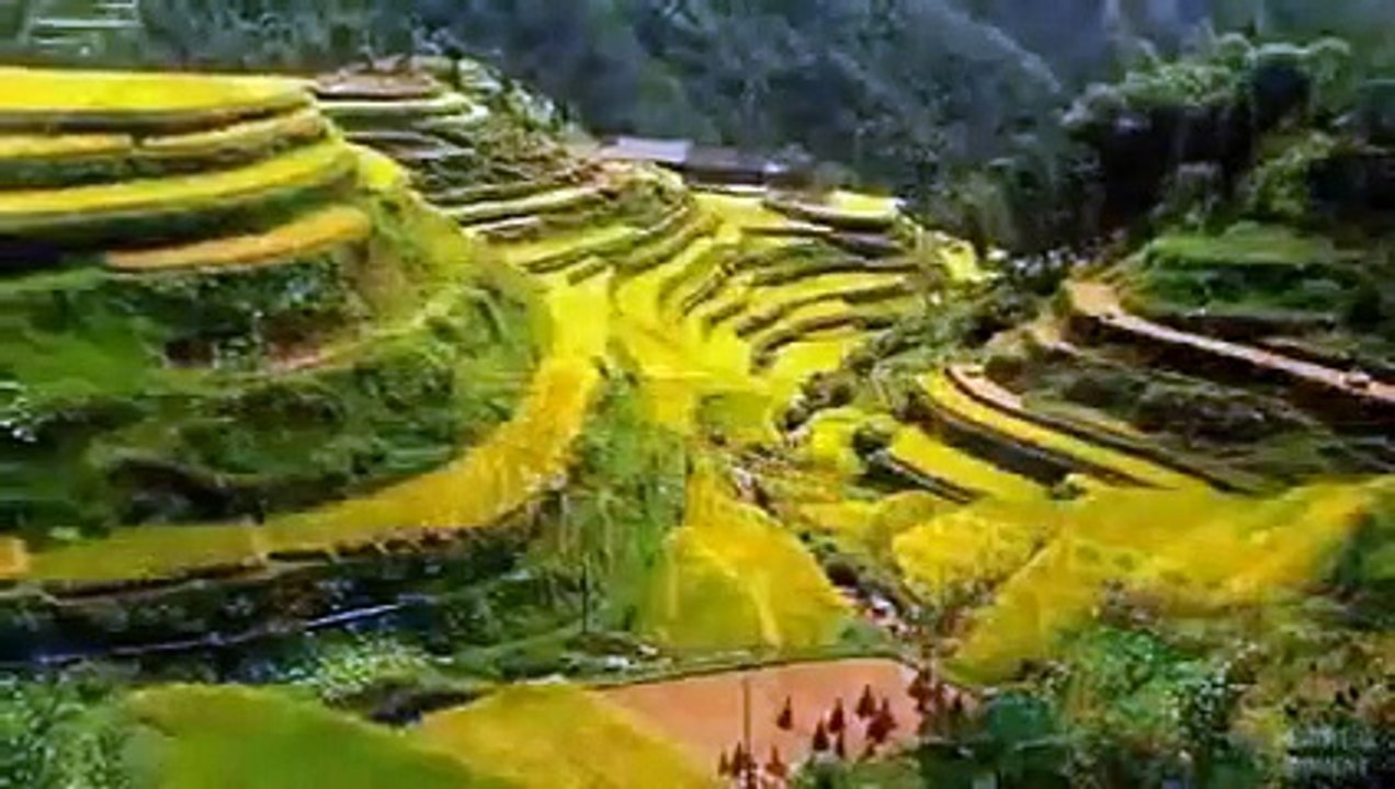 4 HOURS | The Best Traditional Chinese Music Playlist Relaxing Music Meditation and Sleepi