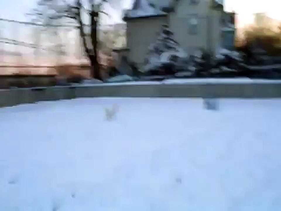 hannah in the snow again