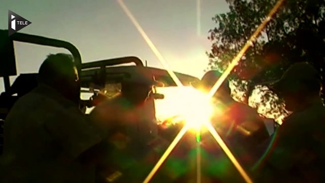 Le scandale des milliers de lions enfermés pour être chassés