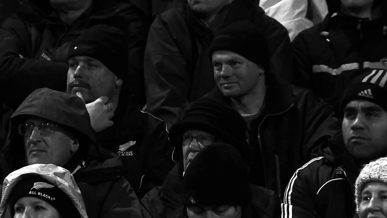 DAN CARTER: A MOVING PORTRAIT