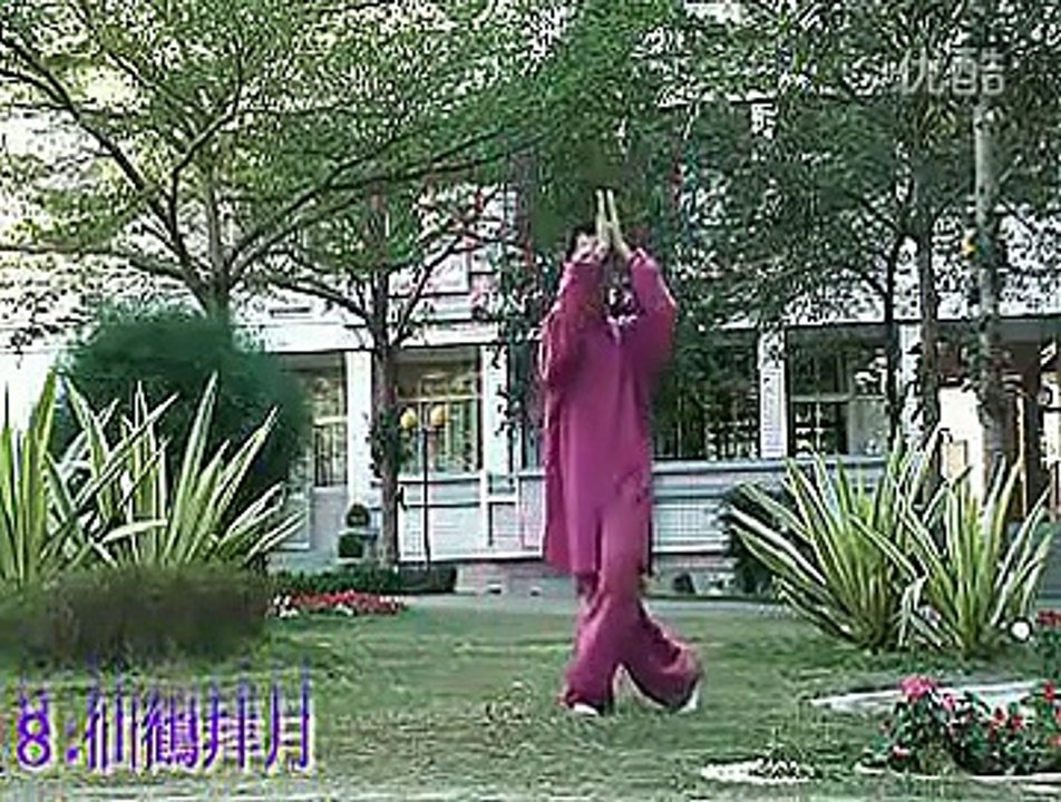 太极气功十八式-第二套.flv.flv