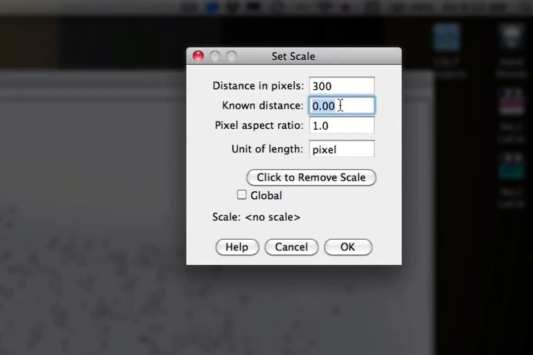 Using ImageJ to Measure Surface Area