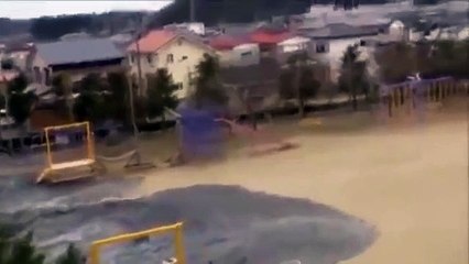 Unseen Japan Tsunami video Town destroyed in seconds