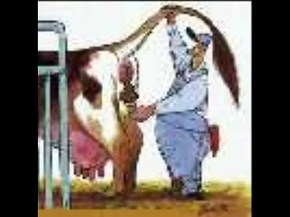 Lustige Bilder