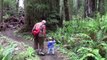 Hiking in Prairie Creek Redwoods State Park pt. 1